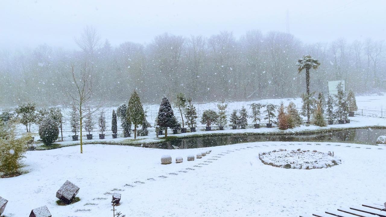 Hotel Del Parco วิเจวาโน ภายนอก รูปภาพ